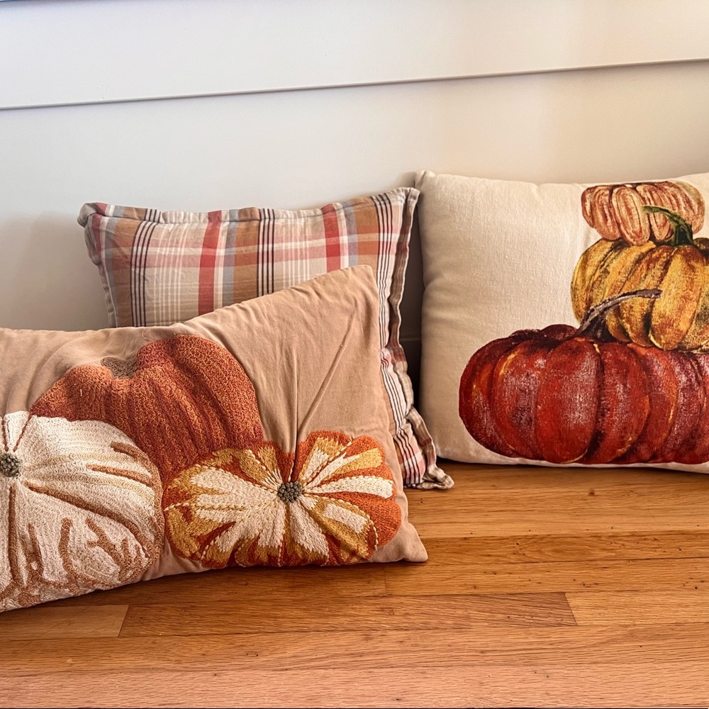 Lot of 3 Pottery Barn Fall Pumpkin pillow covers